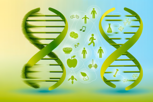 Lifestyle Trumps Genetics: New Study Reshapes Aging Research